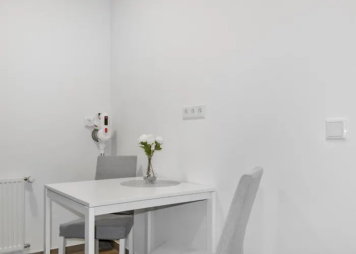 Mit Terrasse, Privater Eingang Und Parkplatz Apartament